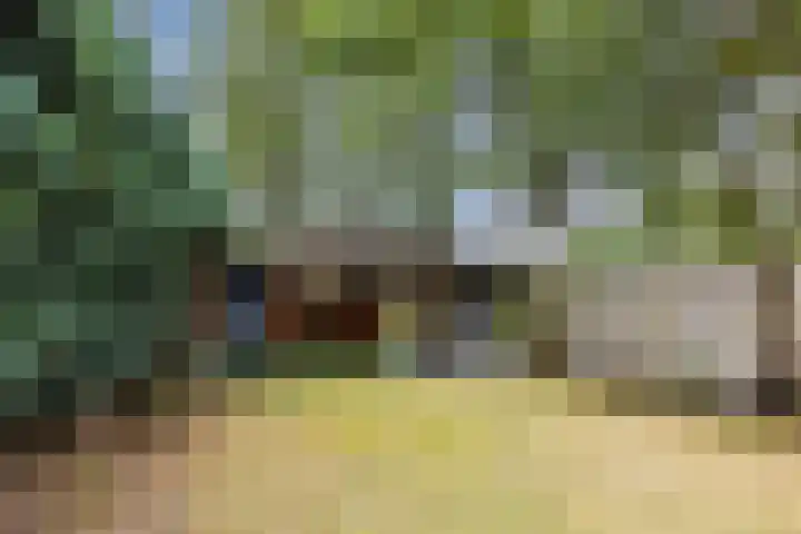 Julianastraat 60 Rijen thumbnail 53