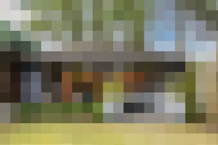 Julianastraat 60 Rijen thumbnail 54