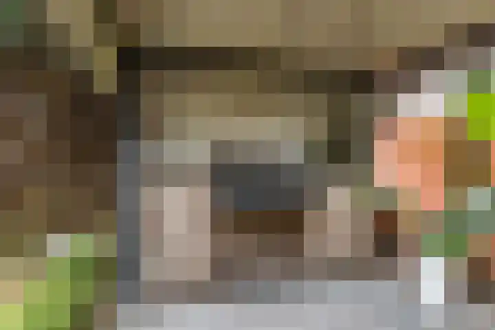 Julianastraat 60 Rijen thumbnail 55