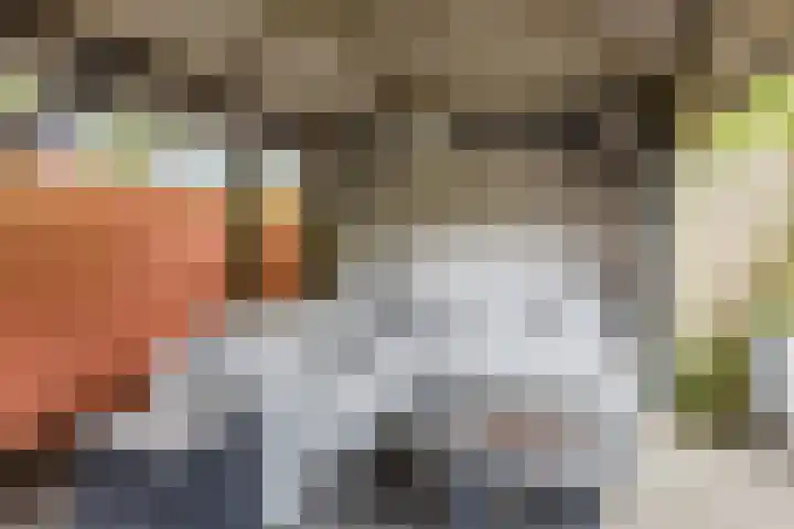 Julianastraat 60 Rijen thumbnail 56