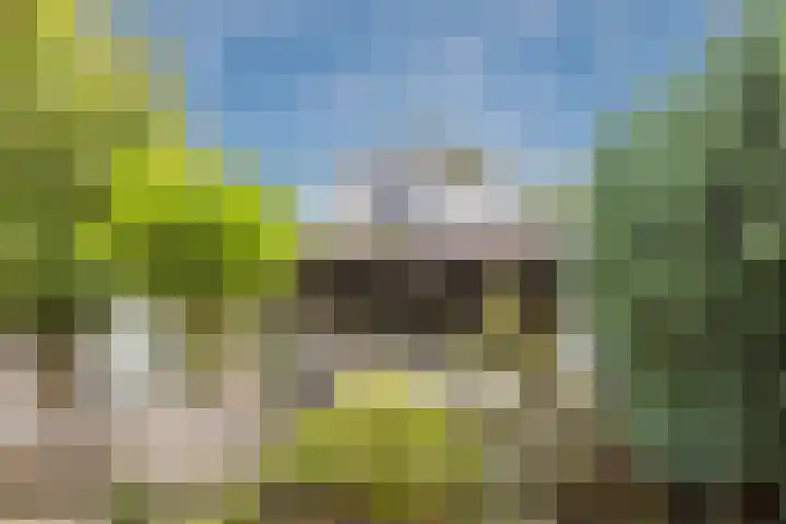 Julianastraat 60 Rijen thumbnail 57
