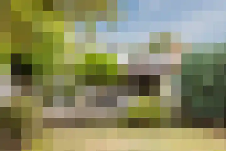 Julianastraat 60 Rijen thumbnail 58
