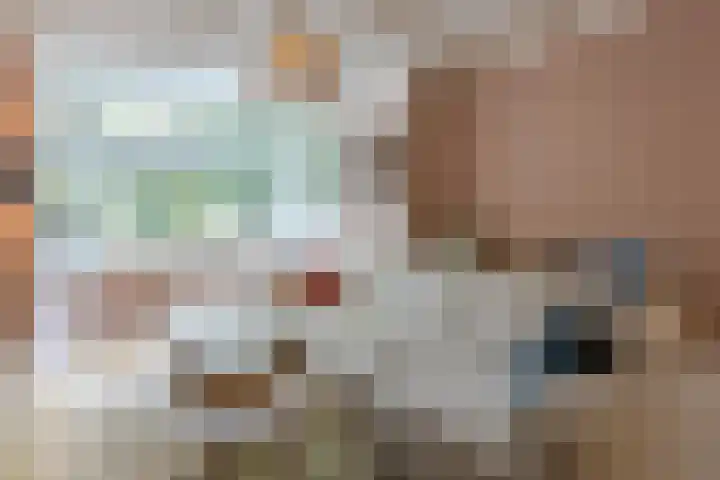 Julianastraat 60 Rijen thumbnail 7