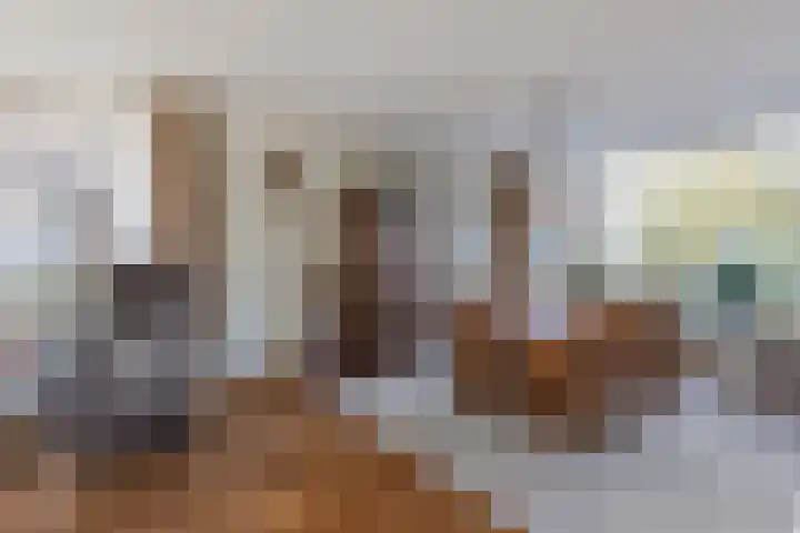 Julianastraat 61 Groot-Ammers thumbnail 12