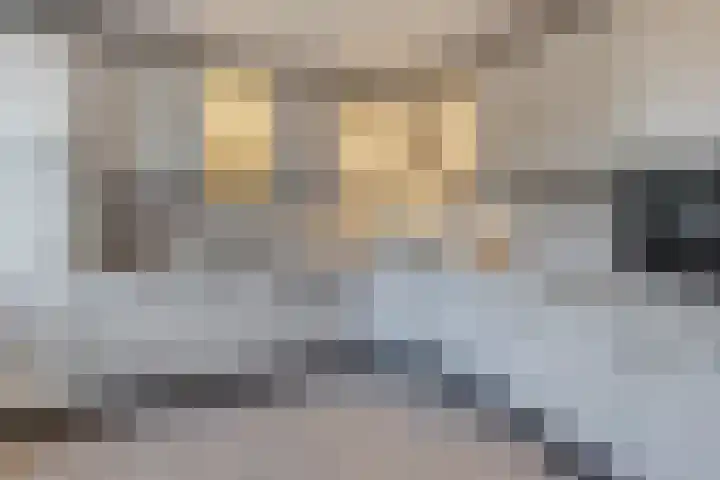 Julianastraat 61 Groot-Ammers thumbnail 13