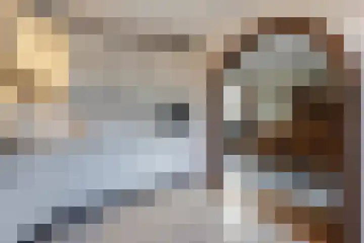 Julianastraat 61 Groot-Ammers thumbnail 14