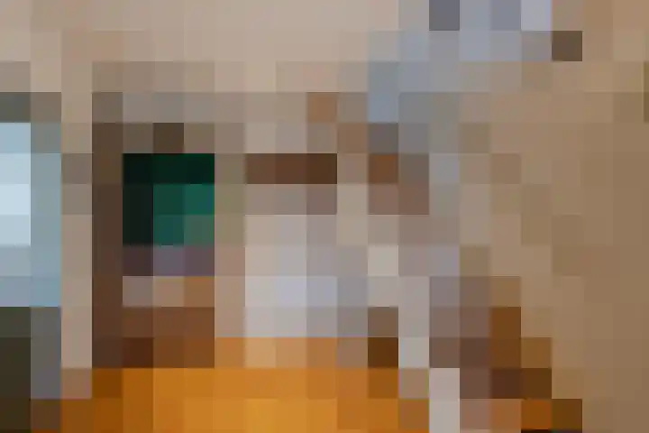Julianastraat 61 Groot-Ammers thumbnail 15