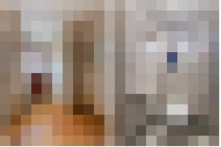 Julianastraat 61 Groot-Ammers thumbnail 16