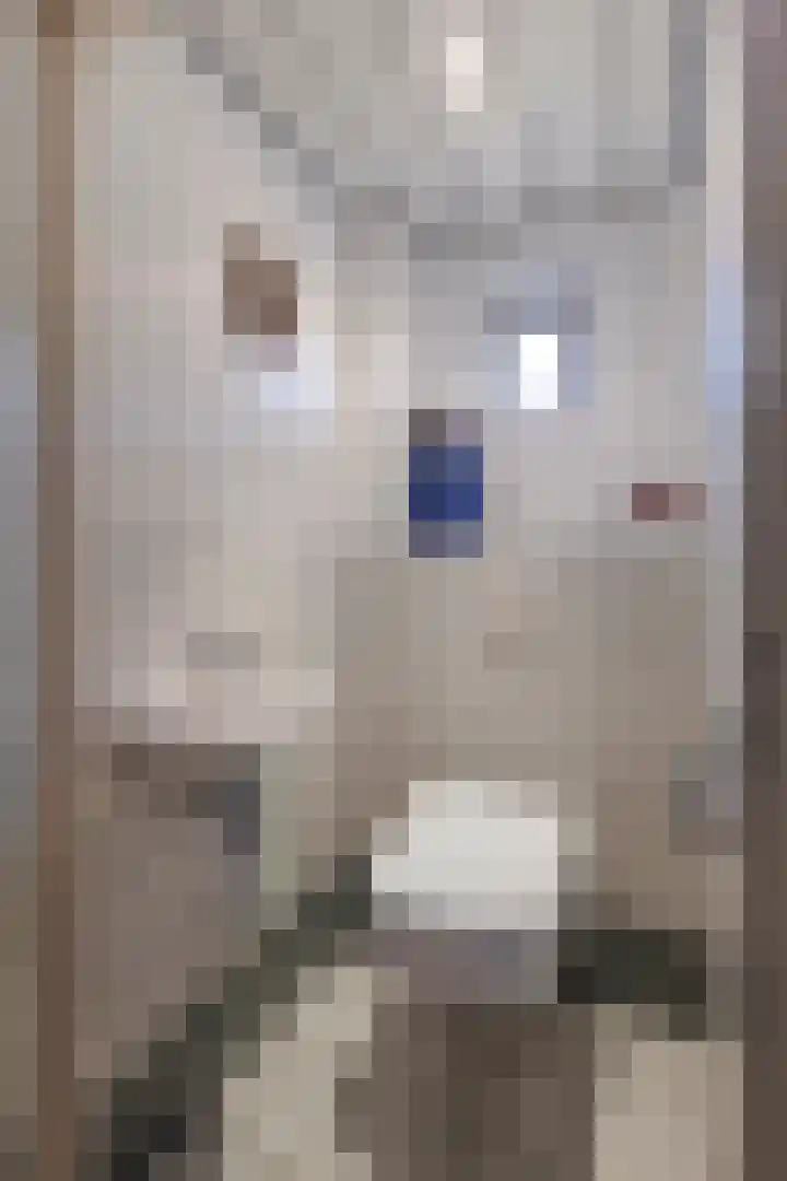 Julianastraat 61 Groot-Ammers thumbnail 17