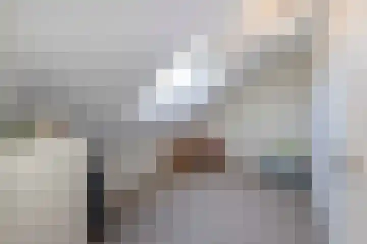 Julianastraat 61 Groot-Ammers thumbnail 29