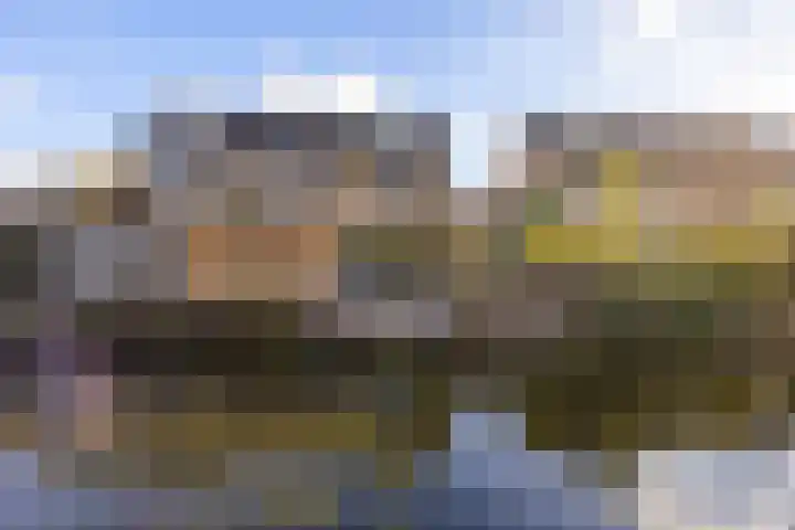 Julianastraat 61 Groot-Ammers thumbnail 30
