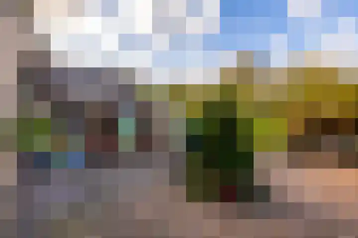 Julianastraat 61 Groot-Ammers thumbnail 31