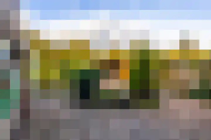 Julianastraat 61 Groot-Ammers thumbnail 32