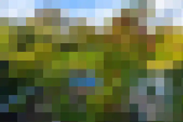 Julianastraat 61 Groot-Ammers thumbnail 33