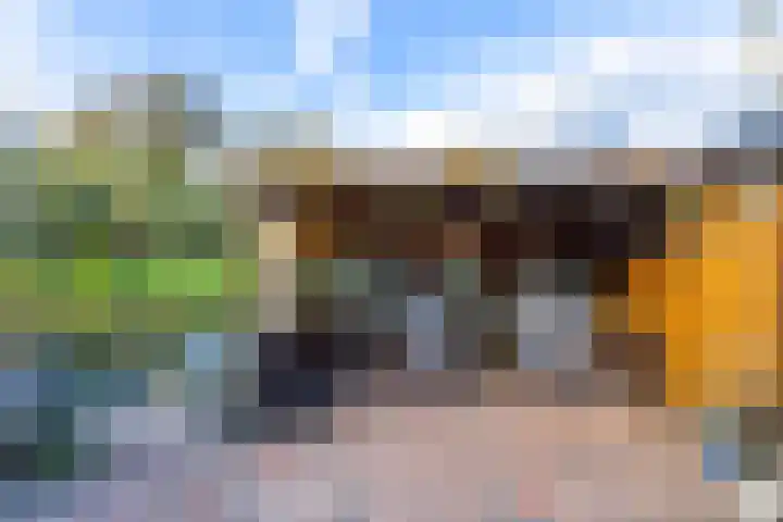 Julianastraat 61 Groot-Ammers thumbnail 34