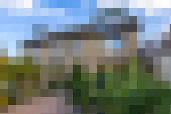 Julianastraat 61 Groot-Ammers thumbnail 35