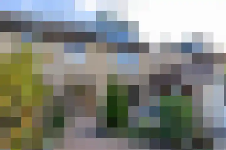 Julianastraat 61 Groot-Ammers thumbnail 36