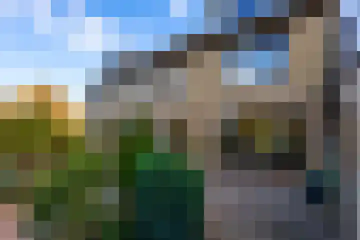 Julianastraat 61 Groot-Ammers thumbnail 37