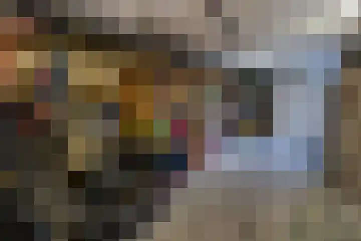 Julianastraat 61 Groot-Ammers thumbnail 38