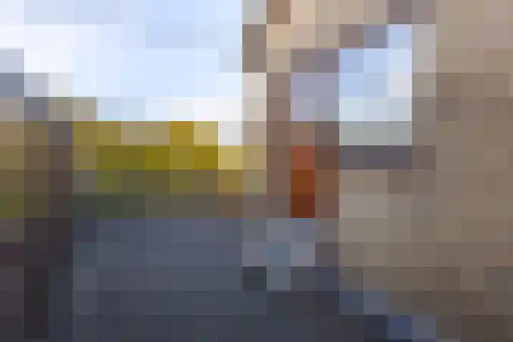Julianastraat 61 Groot-Ammers thumbnail 39