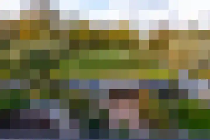 Julianastraat 61 Groot-Ammers thumbnail 4