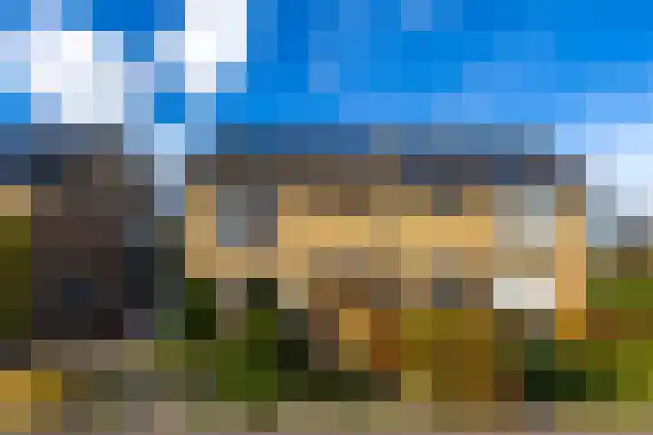 Julianastraat 61 Groot-Ammers thumbnail 41