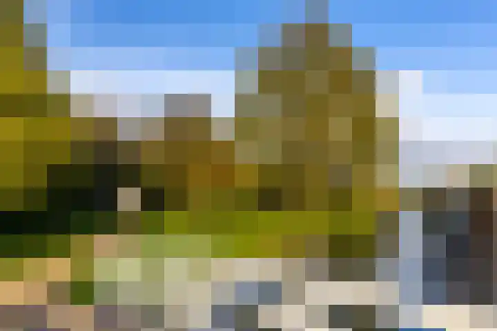Julianastraat 61 Groot-Ammers thumbnail 43