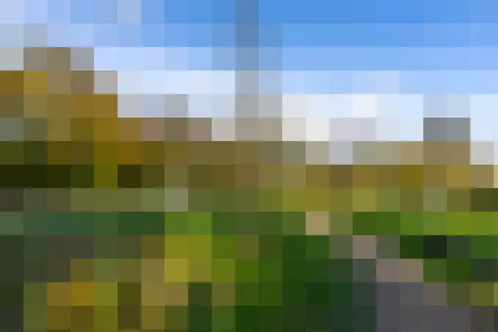 Julianastraat 61 Groot-Ammers thumbnail 44