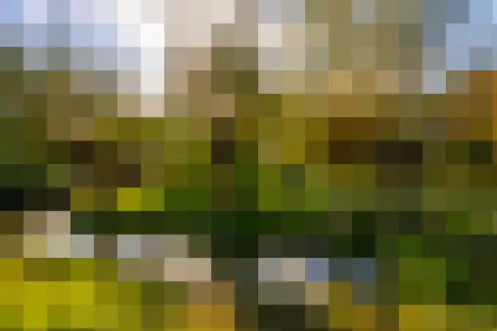 Julianastraat 61 Groot-Ammers thumbnail 45