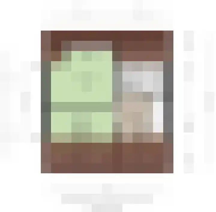 Julianastraat 61 Groot-Ammers thumbnail 50