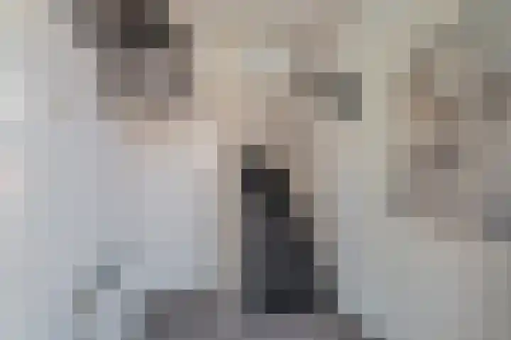 Julianastraat 61 Hoogezand thumbnail 14