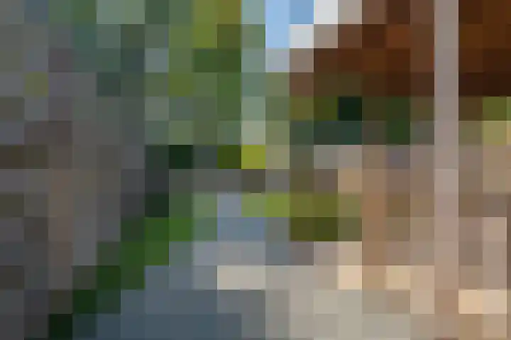 Julianastraat 61 Hoogezand thumbnail 32