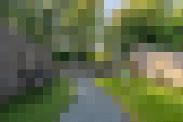 Julianastraat 61 Hoogezand thumbnail 35