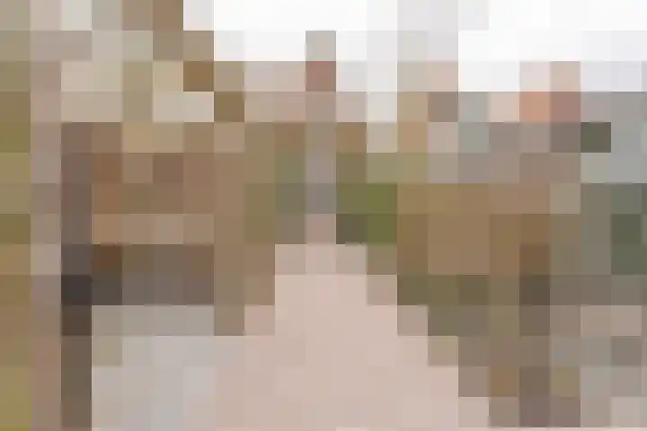 Julianastraat 62 dans Boskoop