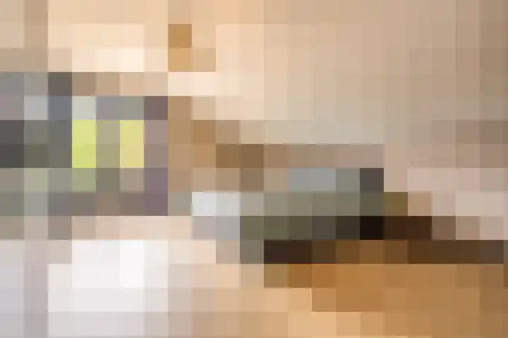 Julianastraat 63 Heikant thumbnail 16
