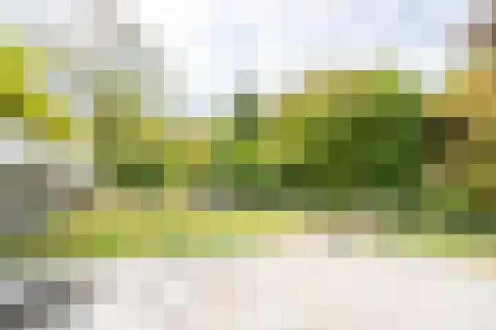 Julianastraat 63 Heikant thumbnail 25