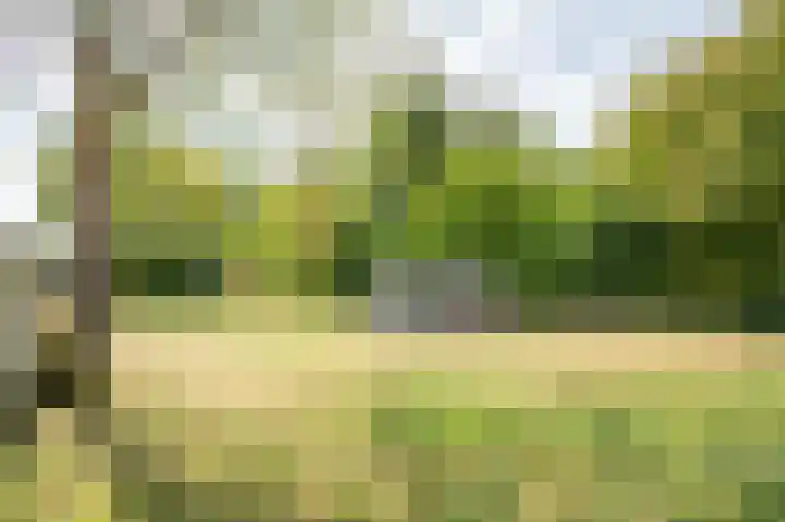 Julianastraat 63 Heikant thumbnail 27