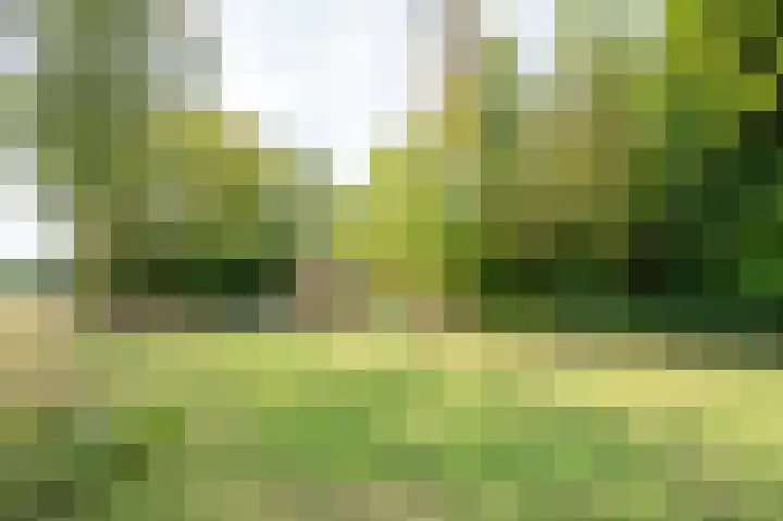 Julianastraat 63 Heikant thumbnail 28