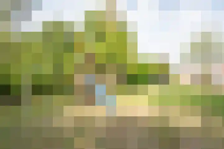 Julianastraat 63 Heikant thumbnail 29