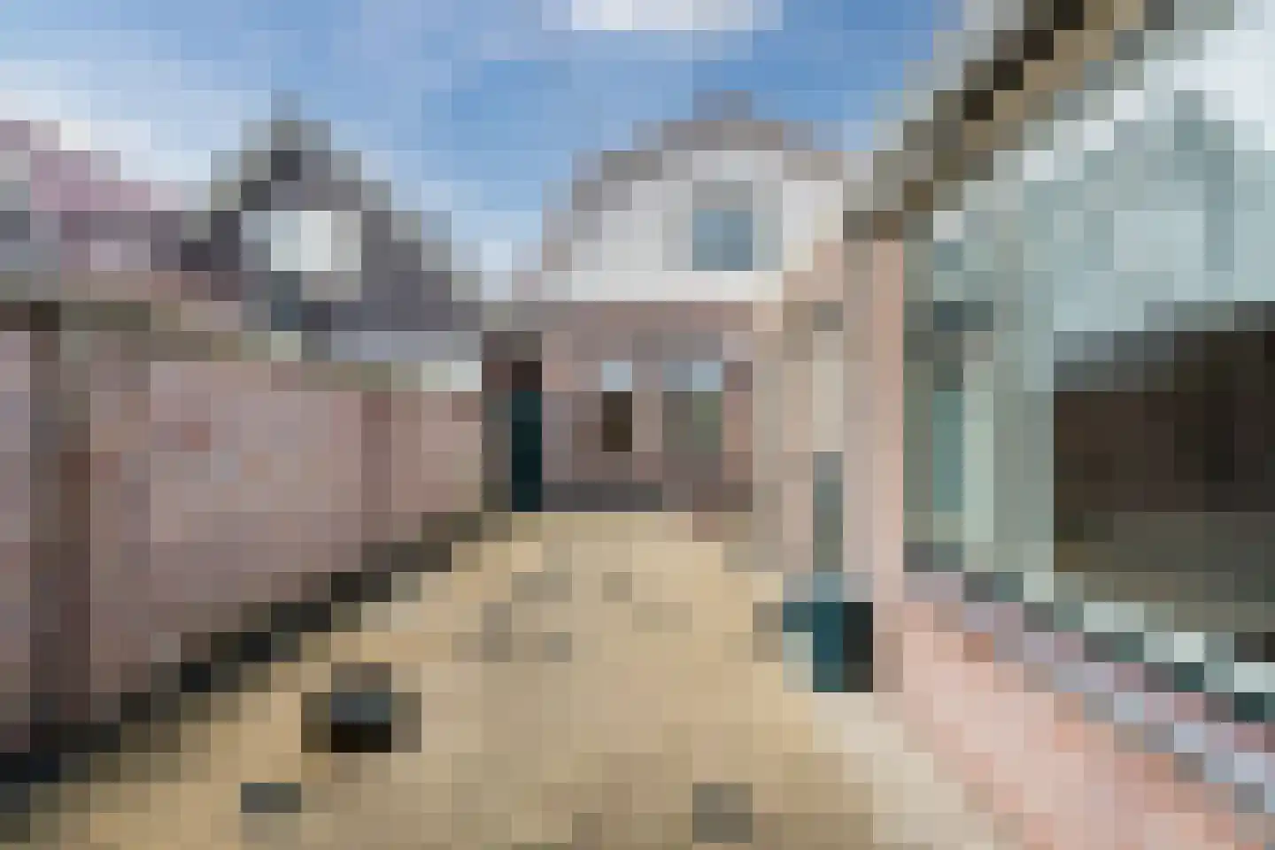 Julianastraat 64 Egmond aan Zee thumbnail 35
