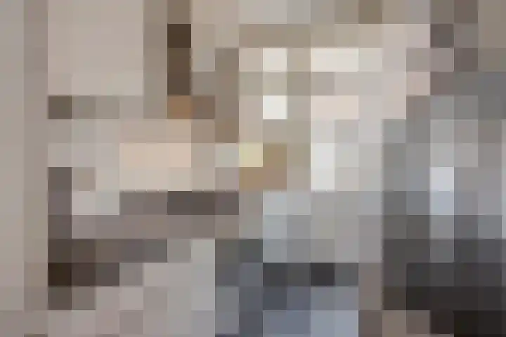 Julianastraat 64 Rijswijk thumbnail 11