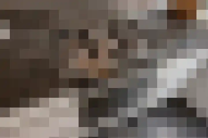 Julianastraat 64 Rijswijk thumbnail 12