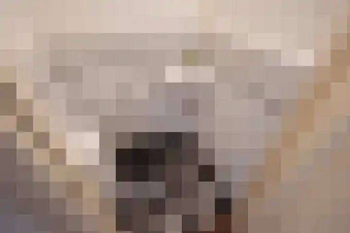 Julianastraat 64 Rijswijk thumbnail 16