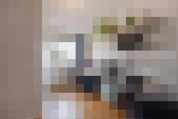Julianastraat 64 Rijswijk thumbnail 21