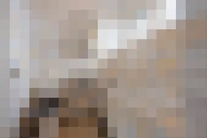 Julianastraat 64 Rijswijk thumbnail 24