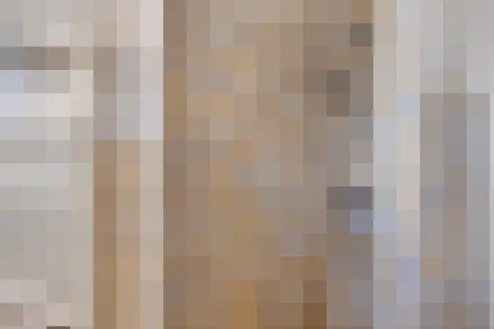 Julianastraat 64 Rijswijk thumbnail 25