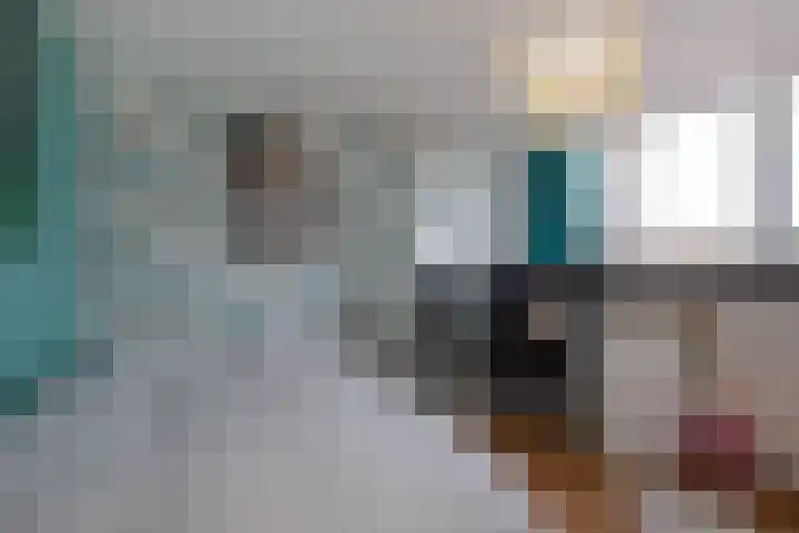 Julianastraat 64 Rijswijk thumbnail 29