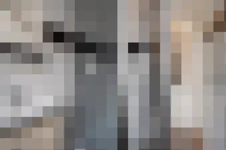 Julianastraat 64 Rijswijk thumbnail 31