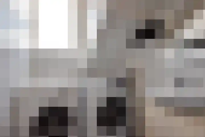 Julianastraat 64 Rijswijk thumbnail 32