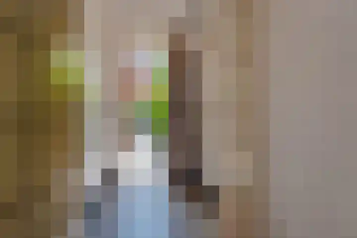 Julianastraat 64 Rijswijk thumbnail 5